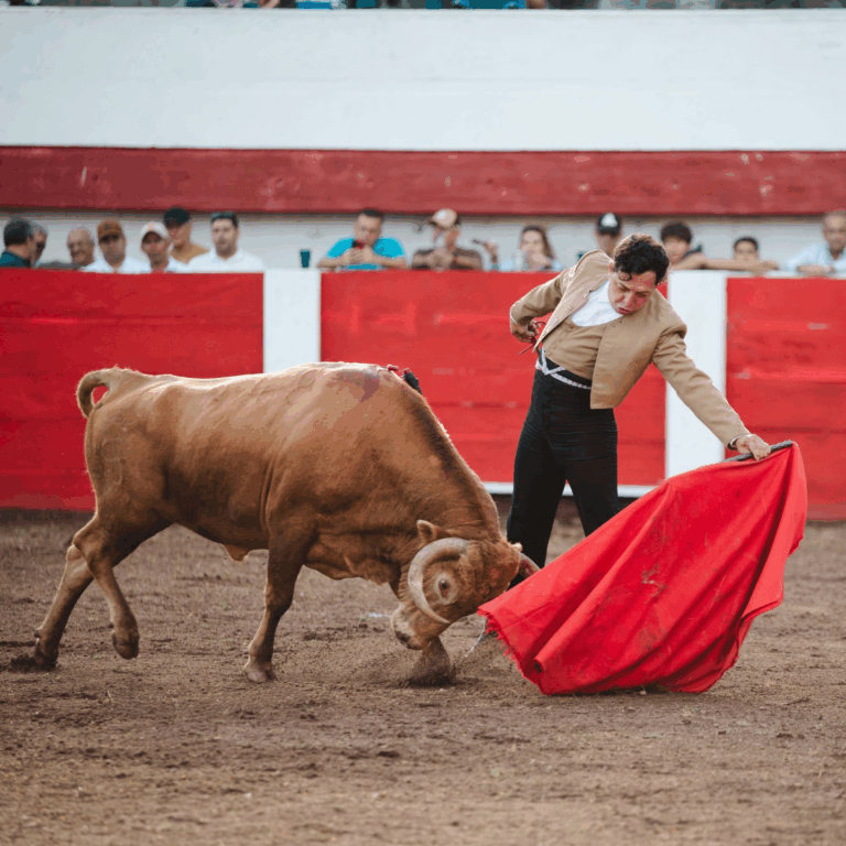 José Cariel indulta un novillo en Táriba y sale a hombros