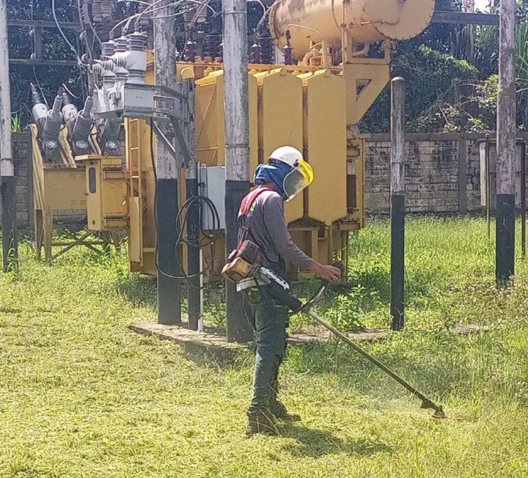 Desmalezamiento preventivo en subestaciones del Táchira favorece a más de 173 mil usuarios