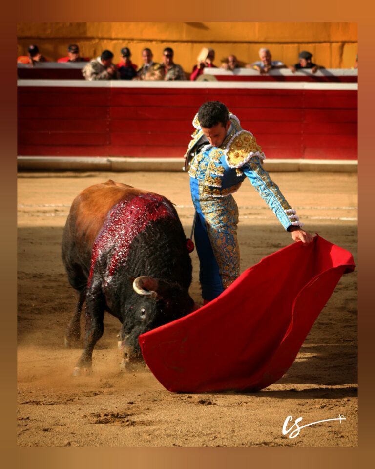 David de Miranda debutará en la Feria Internacional de San Sebastián 2026