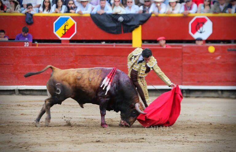 Jesús Enrique Colombo cierra la Feria de Cali con toros de Salento