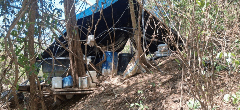 Destruyen otro laboratorio de estupefacientes en Norte de Santander