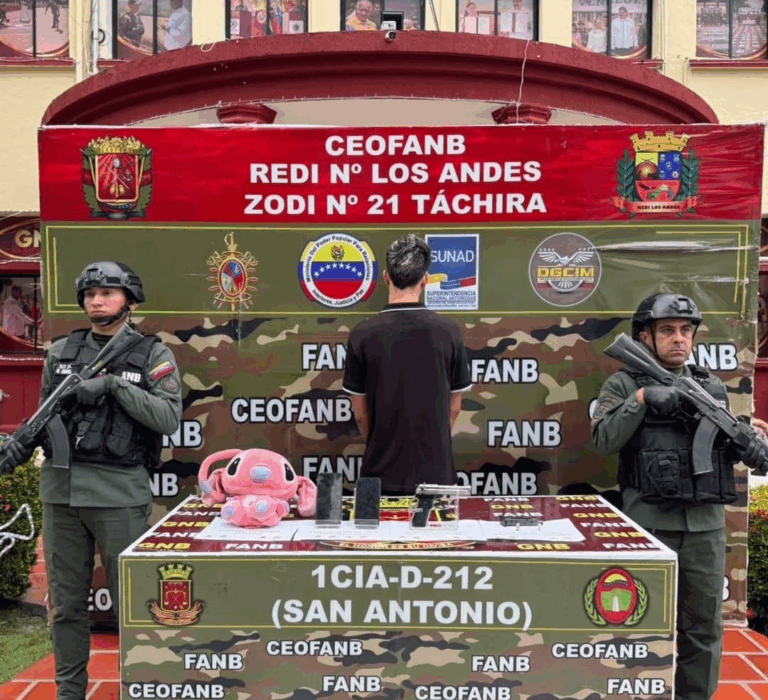 Cruzó frontera con un arma de fuego oculta en un peluche