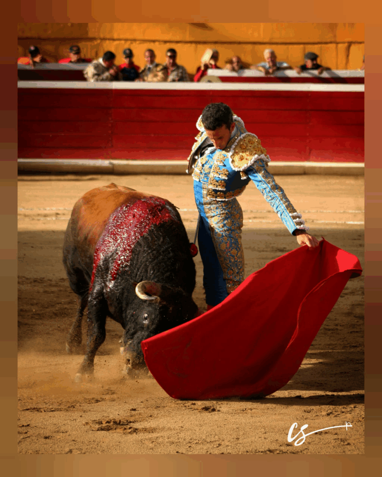 David de Miranda debutará en la Feria Internacional de San Sebastián 2026