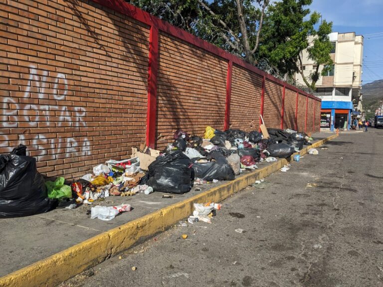 Piden atender basureros en vías públicas de San Antonio