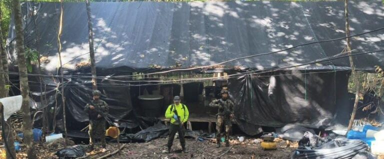 Destruyen otro laboratorio de estupefacientes en Norte de Santander