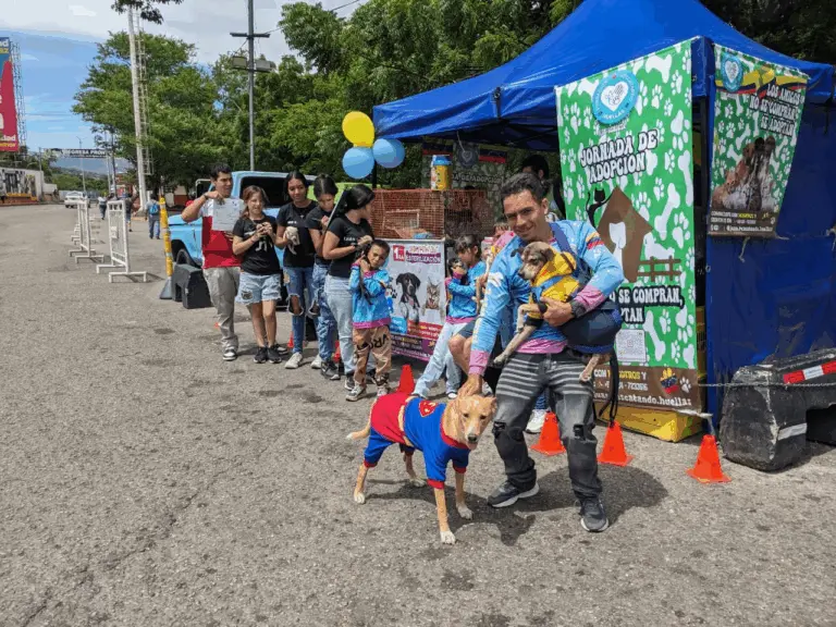 Jornada de adopción de mascotas al estilo Halloween