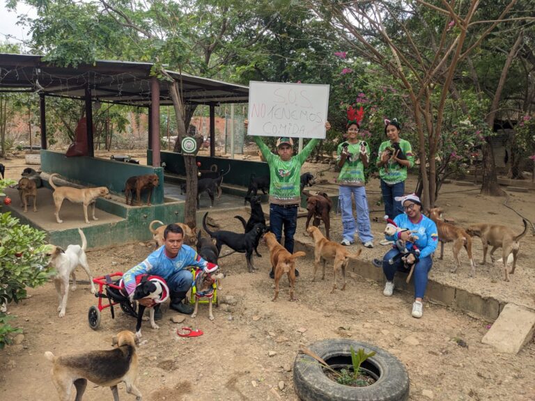 Sin alimento el refugio para animales en frontera