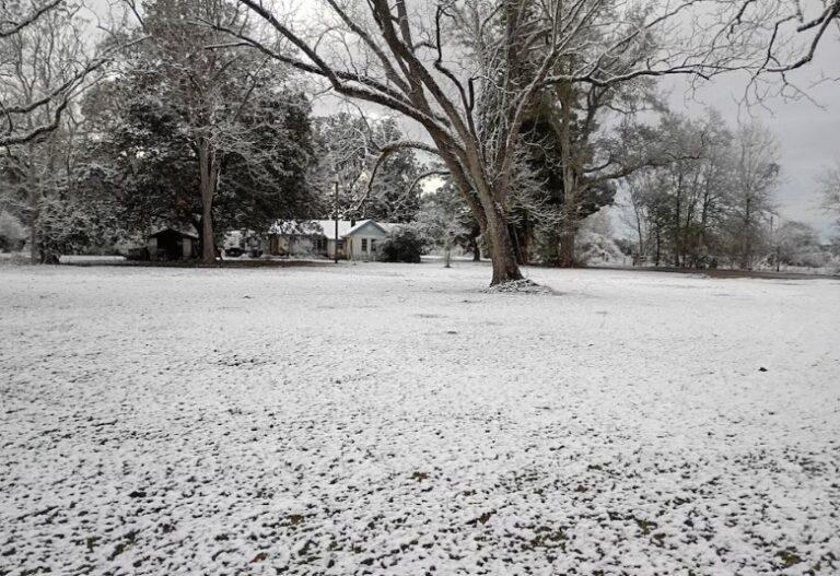 Florida sorprendida por segunda nevada consecutiva: ¿Hacia un nuevo récord invernal?