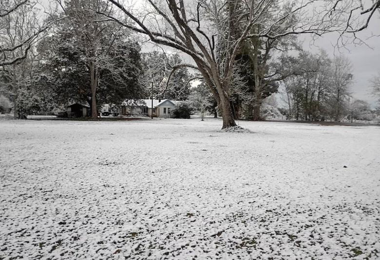 La región del Panhandle es la más fría de Florida, por lo que las nevadas no son tan inusuales. (X: @FrankRo52456258)