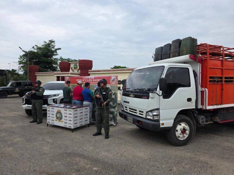 Desmantelan red de contrabando de ganado en Táchira