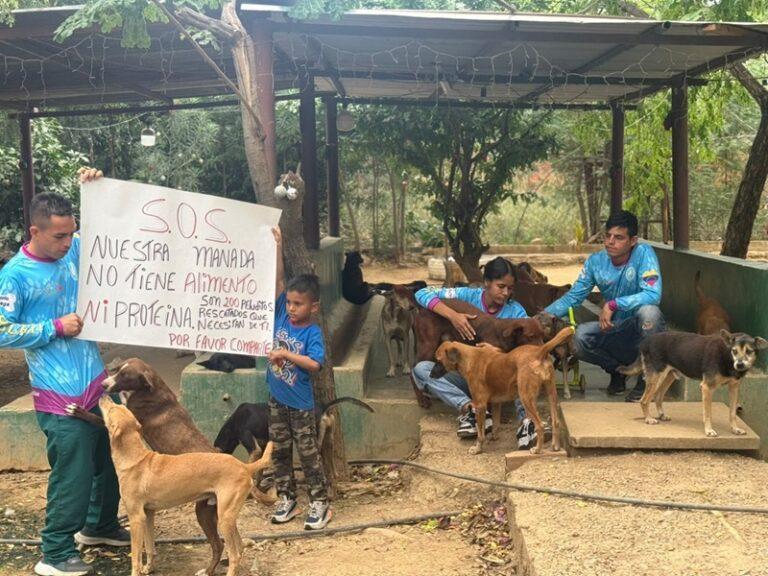 Más de 200 peluditos sin alimento en el refugio de la frontera