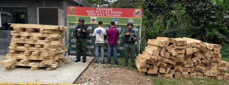 Dos sujetos detenidos en Torbes por tala indiscriminada