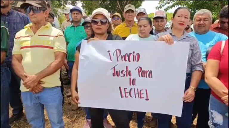 En paro técnico se declaran productores de leche de Barinas