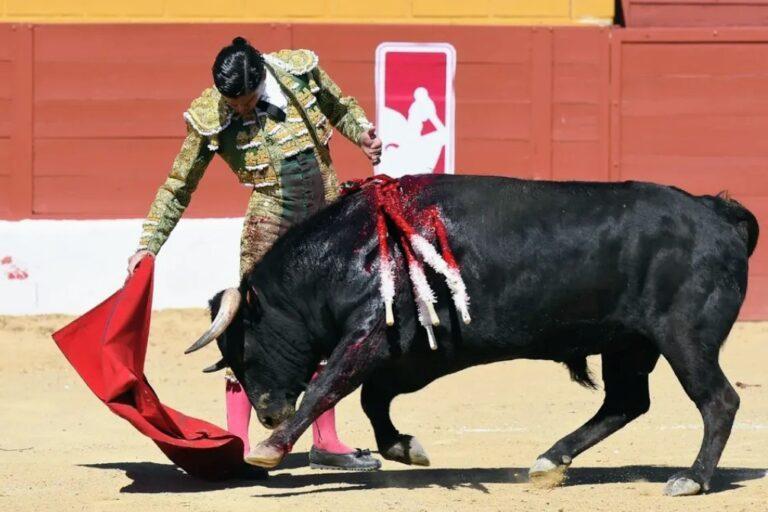 Una oreja para Rafael de la Cueva en San Agustín del Guadalix, España