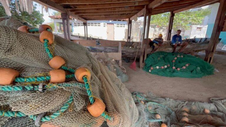 Pescadores de Nueva Esparta exigen paridad de precios ante inicio de la zafra de sardina