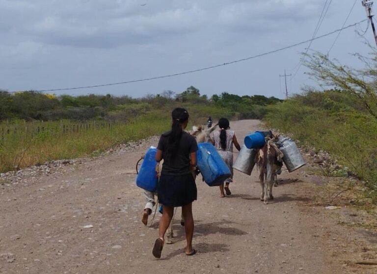 Pozos artesanales para calmar la sed: crisis por agua alcanza punto crítico en la Guajira