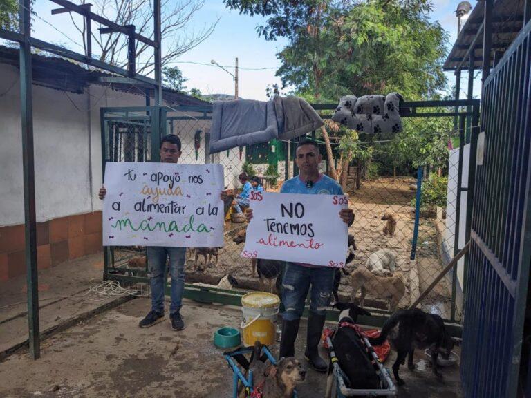 Sin alimentos el refugio para animales