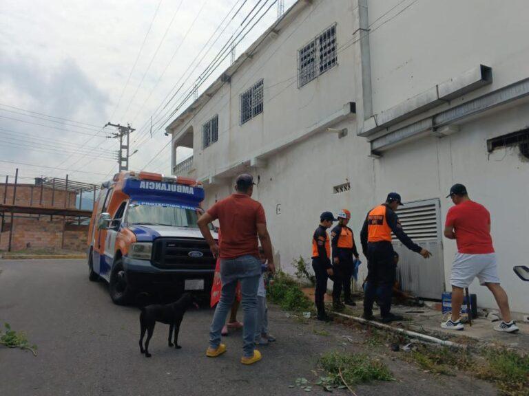 Rescatan a tres gatos atrapados en un local de Ureña