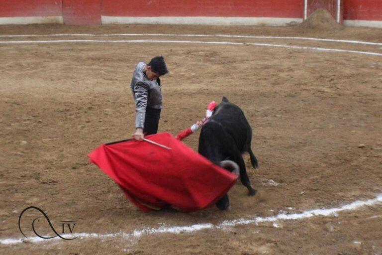 Santiago Guerrero se integra al festival taurino de la Feria de Táriba