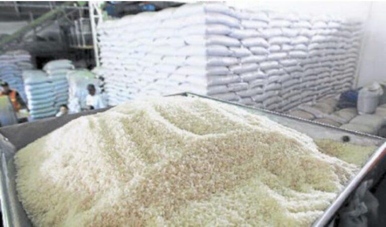 Osman Quero de Fedeagro: “Importación desmedida de arroz causa un daño irreversible al productor local”