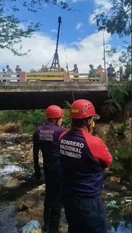 Rescatan a un cerdo atrapado en aguas servidas