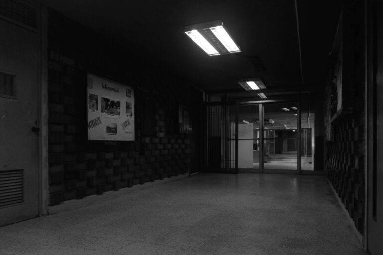 La universidad entre indicadores, precariedad y distancia con la práctica profesional