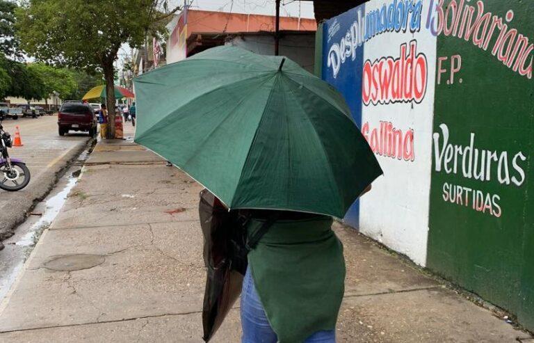 Tigrenses dejan de lado las hierbas para combatir cuadros virales por lluvias
