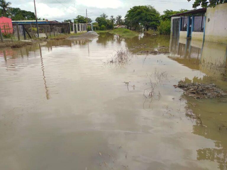 Portuguesa | Vaguadas y desbordamiento de caños vuelven a inundar barrios de Guanarito