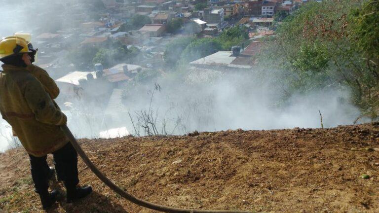 Controlan incendio de vegetación en San Antonio