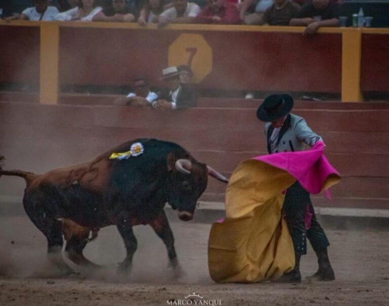 Alejandro Barragán tomará la alternativa en la Feria de Tovar 2026