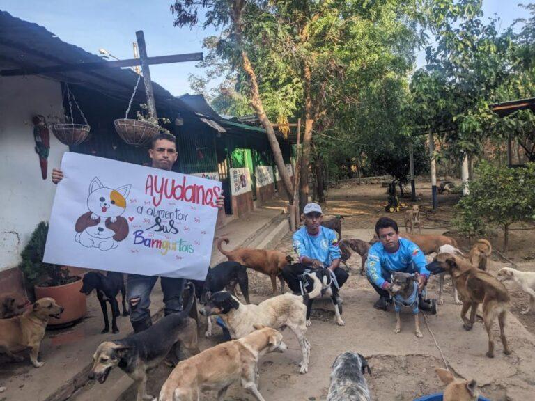 Agotadas reservas de alimentos en el refugio para animales