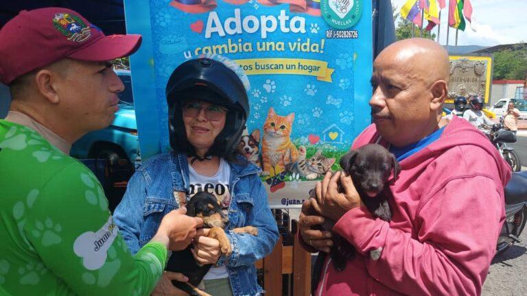 ¡Otra jornada binacional de adopción de mascotas!