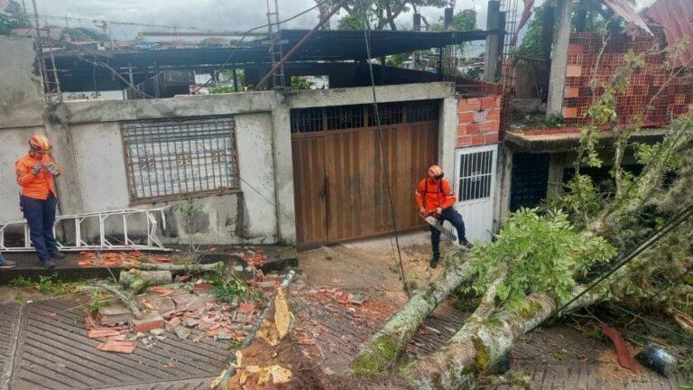 Ocho viviendas y cinco municipios  afectados por ráfagas de viento