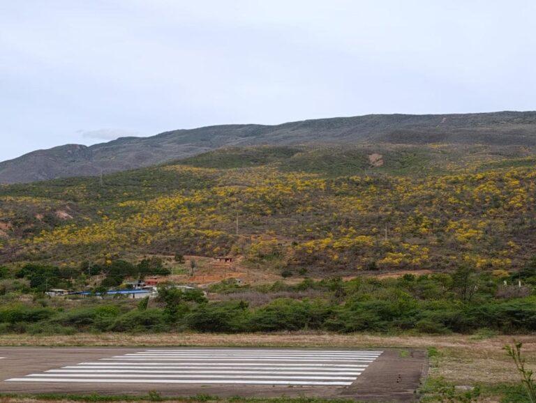 Vestidas de amarillo montañas de frontera