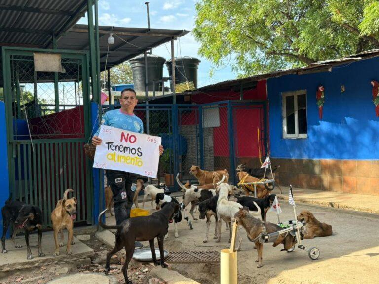 Agotadas nuevamente reservas de alimentos en el refugio para animales